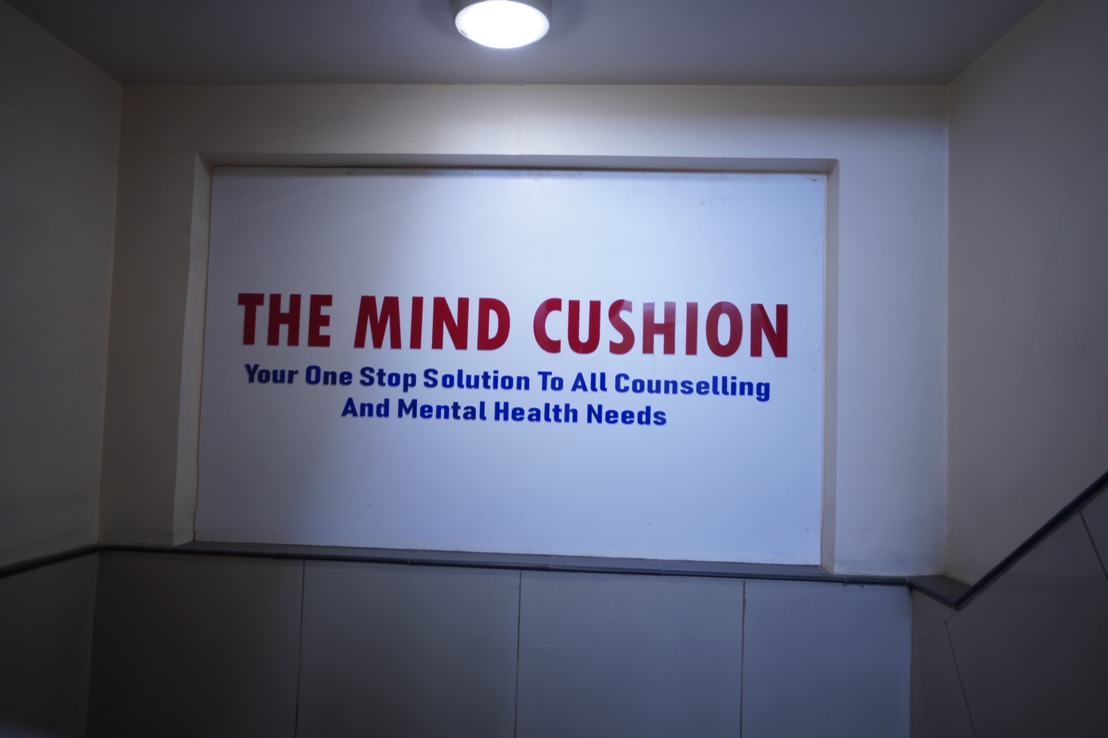 Inside The Mind Cushion clinic