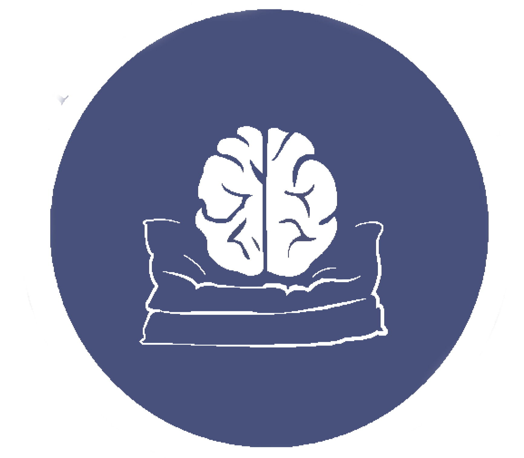 The Mind Cushion